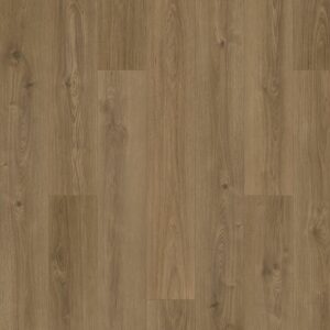 Karastan Flooring by Mohawk Karastan Windham Shores Wren Karastan Karastan Flooring by Mohawk - Karastan Windham Shores Wren | Giant Commercial Flooring
