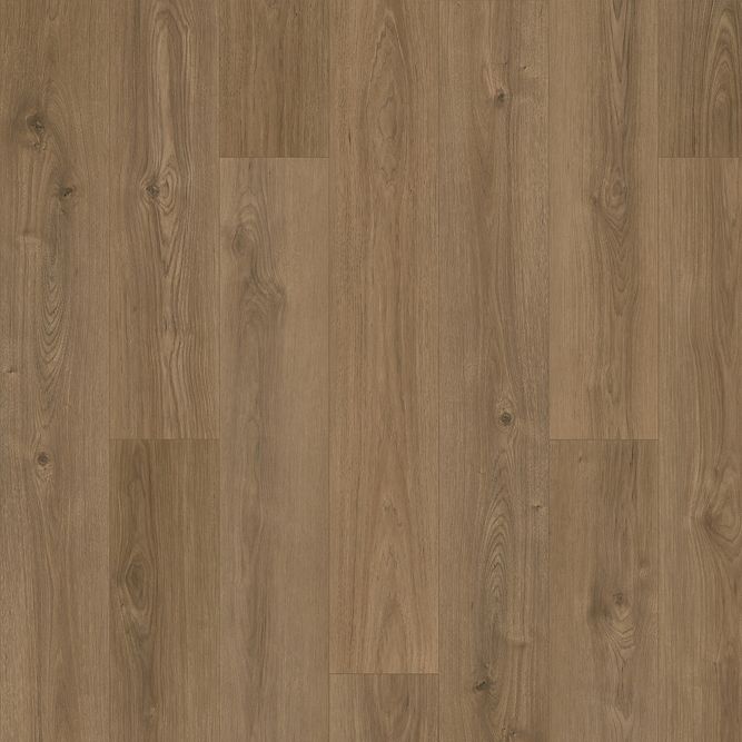 Karastan Flooring by Mohawk Karastan Windham Shores Wren Karastan Karastan Flooring by Mohawk - Karastan Windham Shores Wren | Giant Commercial Flooring