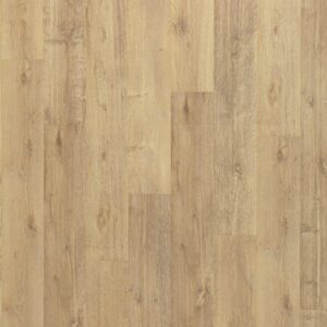 Eco-Friendly Hybrid Flooring - PureTech Plus Ellenwood Fallen Leaf Oak | Giant Commercial Flooring