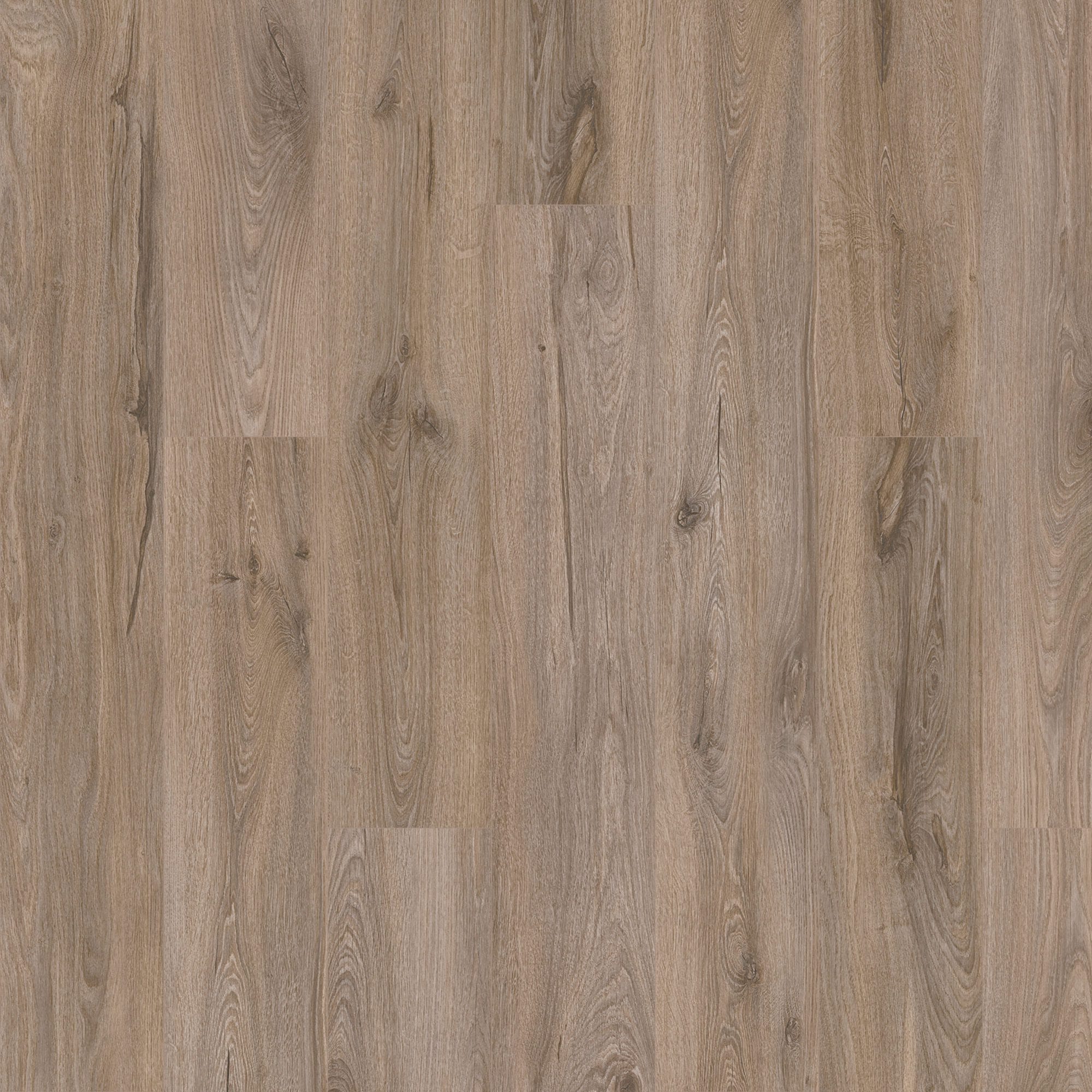 Karastan Flooring by Mohawk Karastan Artisan Reserve Brynwood Karastan Karastan Flooring by Mohawk - Karastan Artisan Reserve Brynwood | Giant Commercial Flooring