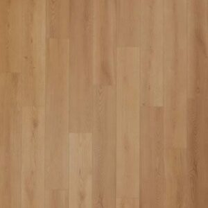 Aladdin Aladdin Bentwood 5.0 Benton Aladdin 2 Aladdin - Aladdin Bentwood 5.0 Benton | Giant Commercial Flooring