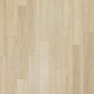 Aladdin Aladdin Bentwood 5.0 Barkley Aladdin 2 Aladdin - Aladdin Bentwood 5.0 Barkley | Giant Commercial Flooring