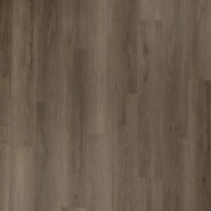 Aladdin Aladdin Bentwood 5.0 Rutledge Aladdin 2 Aladdin - Aladdin Bentwood 5.0 Rutledge | Giant Commercial Flooring